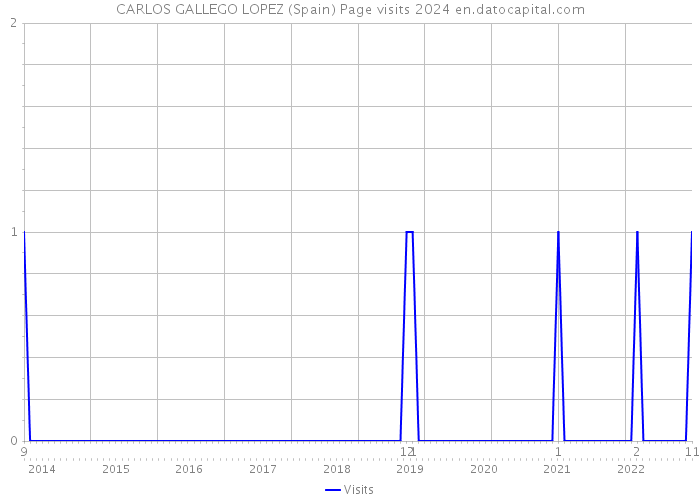 CARLOS GALLEGO LOPEZ (Spain) Page visits 2024 