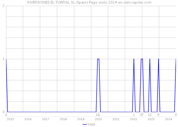 INVERSIONES EL TURPIAL SL (Spain) Page visits 2024 