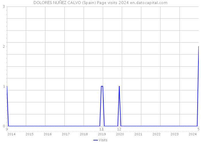 DOLORES NUÑEZ CALVO (Spain) Page visits 2024 