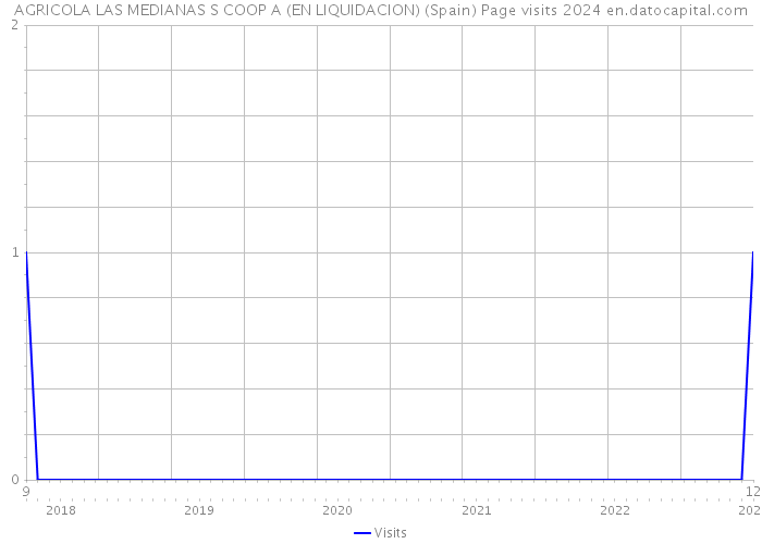 AGRICOLA LAS MEDIANAS S COOP A (EN LIQUIDACION) (Spain) Page visits 2024 