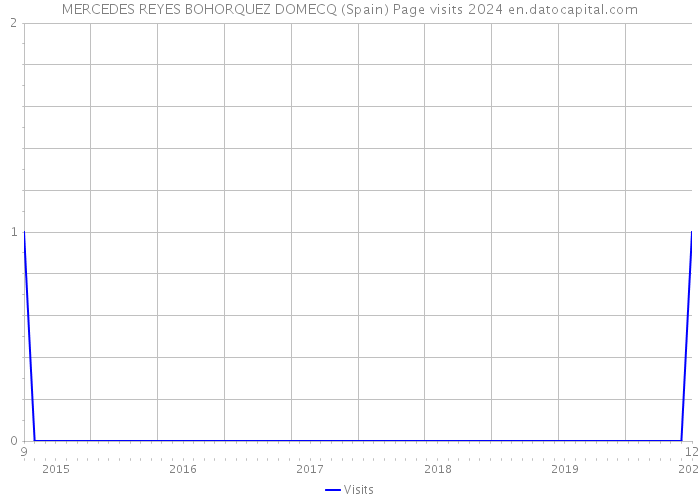 MERCEDES REYES BOHORQUEZ DOMECQ (Spain) Page visits 2024 