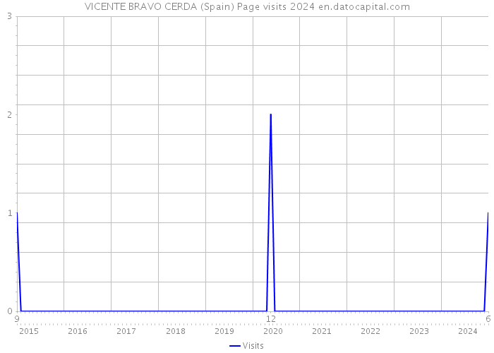 VICENTE BRAVO CERDA (Spain) Page visits 2024 