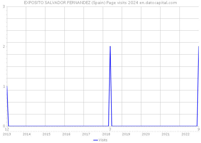 EXPOSITO SALVADOR FERNANDEZ (Spain) Page visits 2024 