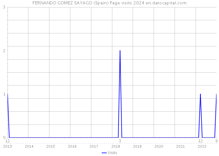 FERNANDO GOMEZ SAYAGO (Spain) Page visits 2024 