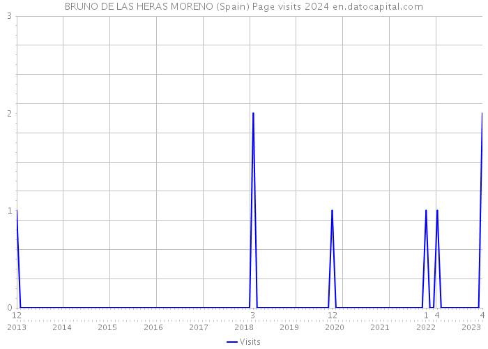 BRUNO DE LAS HERAS MORENO (Spain) Page visits 2024 