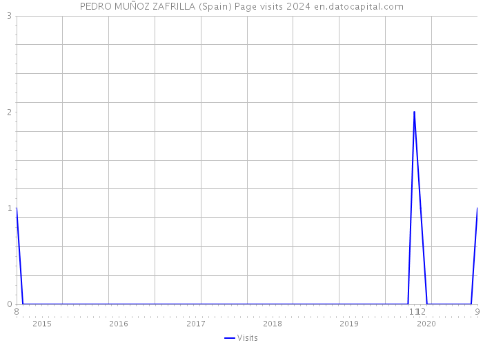 PEDRO MUÑOZ ZAFRILLA (Spain) Page visits 2024 