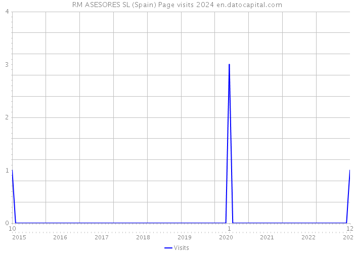 RM ASESORES SL (Spain) Page visits 2024 