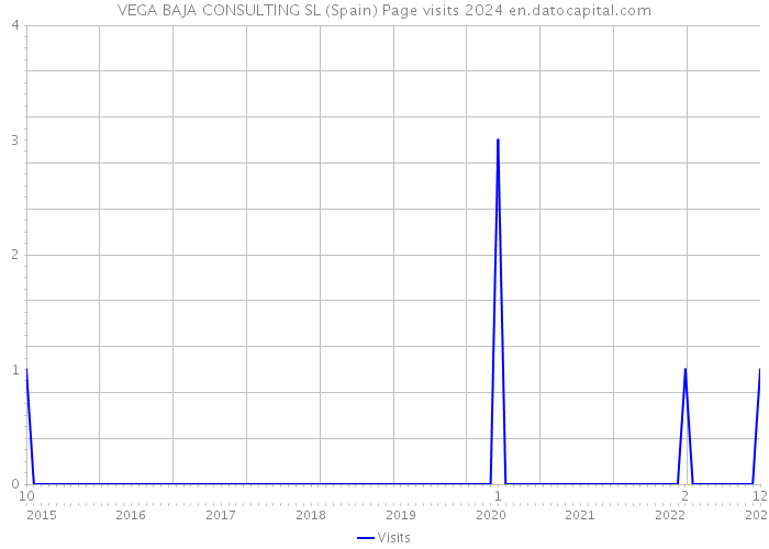 VEGA BAJA CONSULTING SL (Spain) Page visits 2024 
