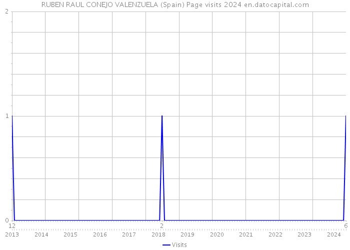 RUBEN RAUL CONEJO VALENZUELA (Spain) Page visits 2024 