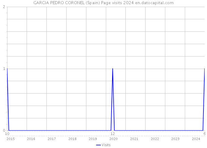 GARCIA PEDRO CORONEL (Spain) Page visits 2024 
