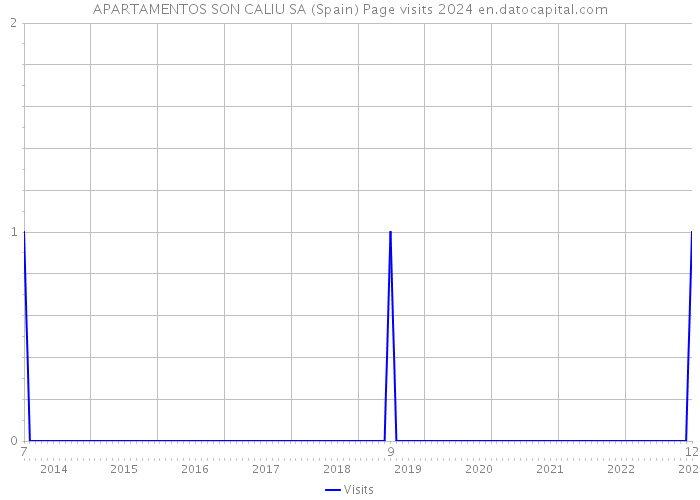 APARTAMENTOS SON CALIU SA (Spain) Page visits 2024 