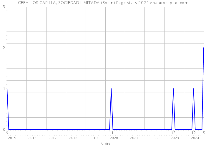 CEBALLOS CAPILLA, SOCIEDAD LIMITADA (Spain) Page visits 2024 