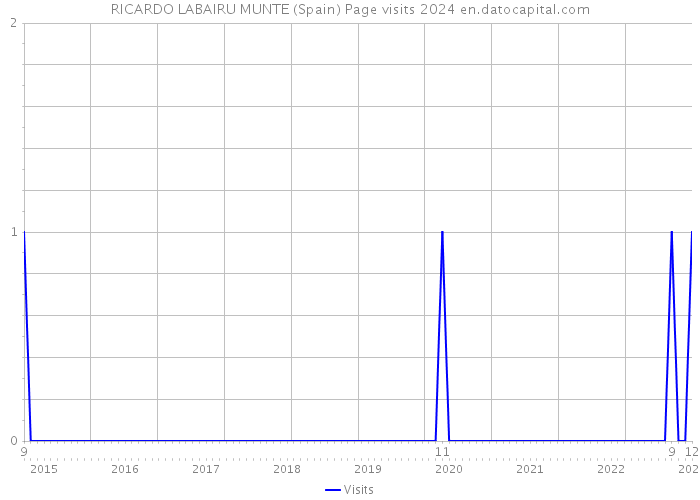 RICARDO LABAIRU MUNTE (Spain) Page visits 2024 