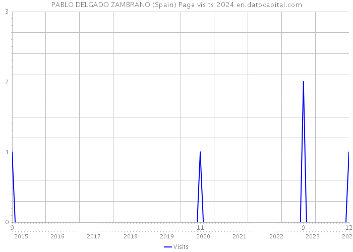 PABLO DELGADO ZAMBRANO (Spain) Page visits 2024 