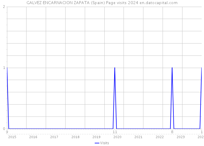 GALVEZ ENCARNACION ZAPATA (Spain) Page visits 2024 