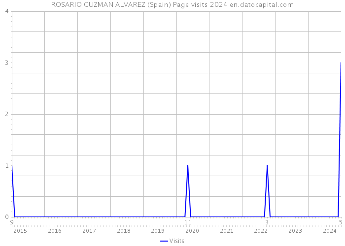 ROSARIO GUZMAN ALVAREZ (Spain) Page visits 2024 