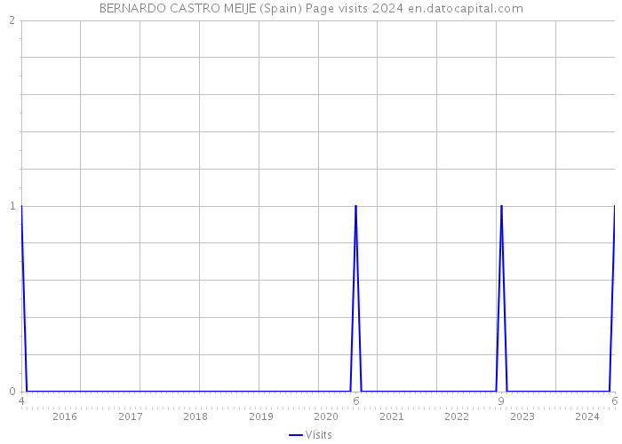 BERNARDO CASTRO MEIJE (Spain) Page visits 2024 