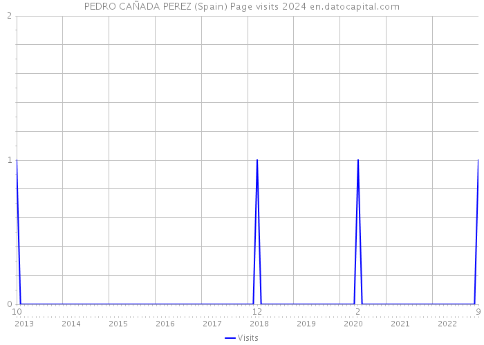 PEDRO CAÑADA PEREZ (Spain) Page visits 2024 