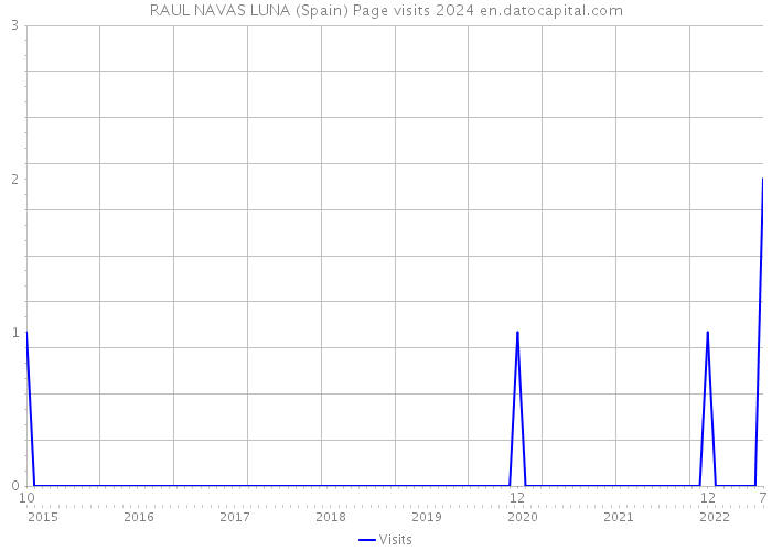 RAUL NAVAS LUNA (Spain) Page visits 2024 