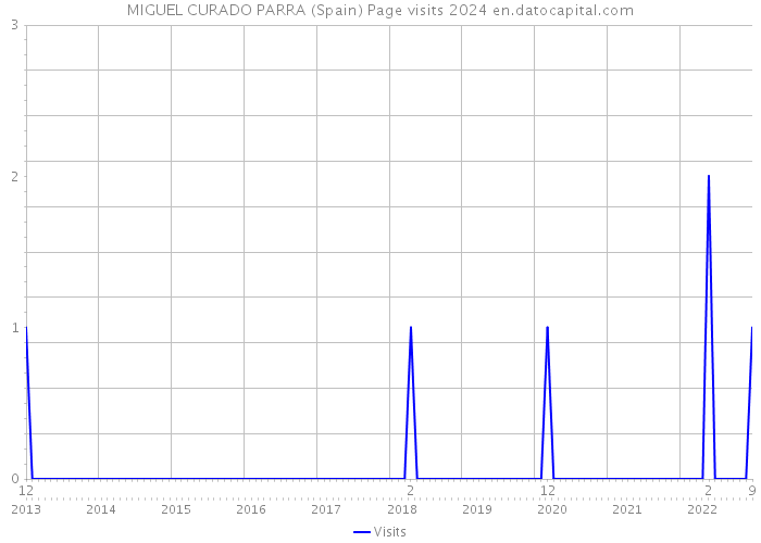 MIGUEL CURADO PARRA (Spain) Page visits 2024 