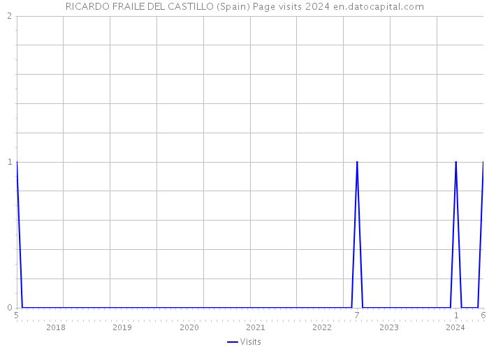 RICARDO FRAILE DEL CASTILLO (Spain) Page visits 2024 
