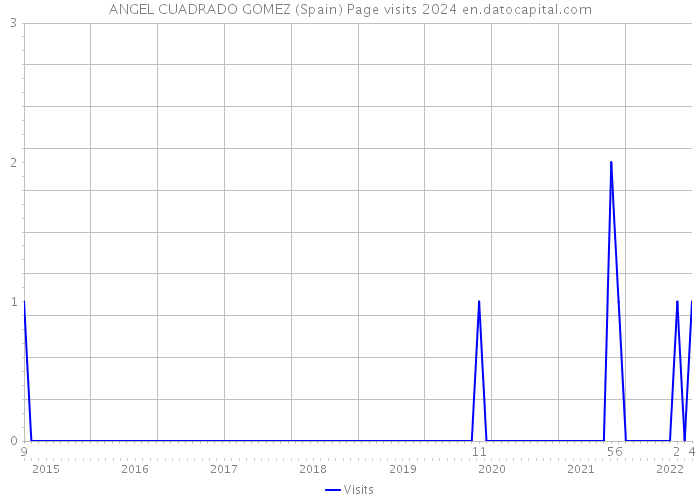 ANGEL CUADRADO GOMEZ (Spain) Page visits 2024 