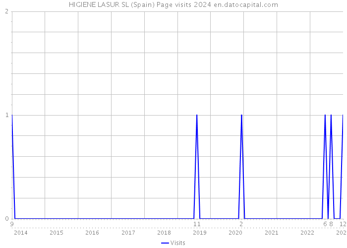 HIGIENE LASUR SL (Spain) Page visits 2024 