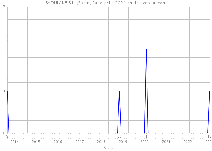 BADULAKE S.L. (Spain) Page visits 2024 