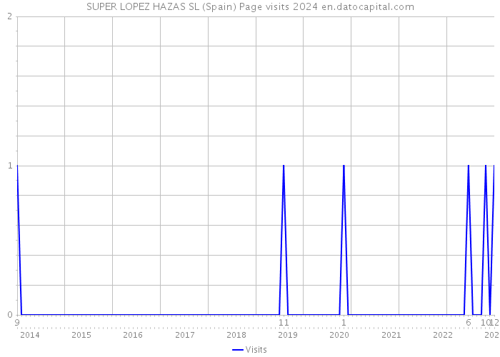 SUPER LOPEZ HAZAS SL (Spain) Page visits 2024 