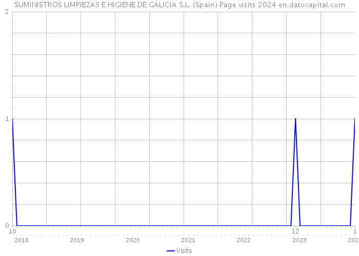 SUMINISTROS LIMPIEZAS E HIGIENE DE GALICIA S.L. (Spain) Page visits 2024 
