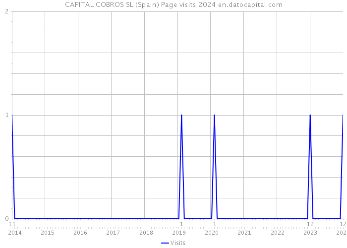 CAPITAL COBROS SL (Spain) Page visits 2024 