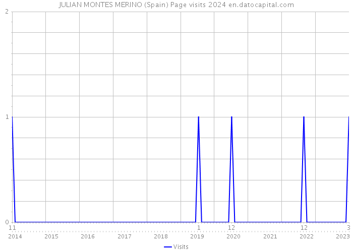 JULIAN MONTES MERINO (Spain) Page visits 2024 