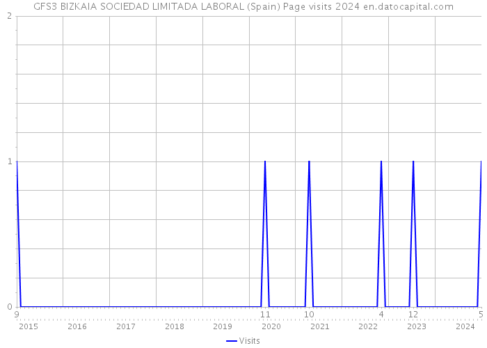 GFS3 BIZKAIA SOCIEDAD LIMITADA LABORAL (Spain) Page visits 2024 