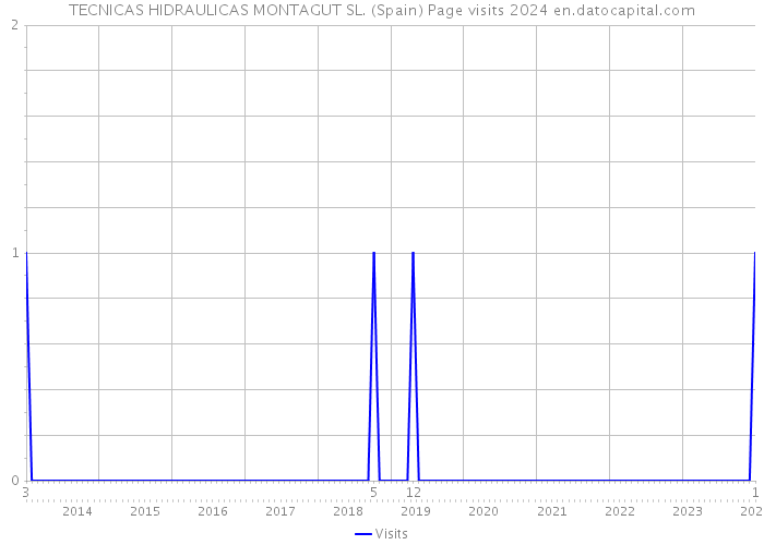 TECNICAS HIDRAULICAS MONTAGUT SL. (Spain) Page visits 2024 