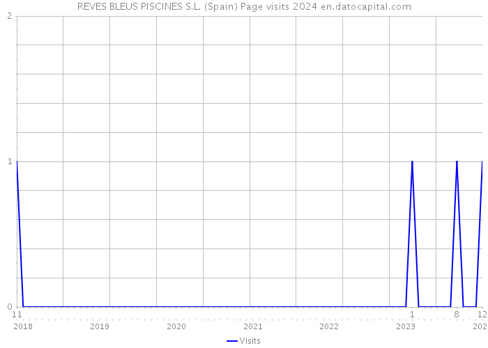 REVES BLEUS PISCINES S.L. (Spain) Page visits 2024 