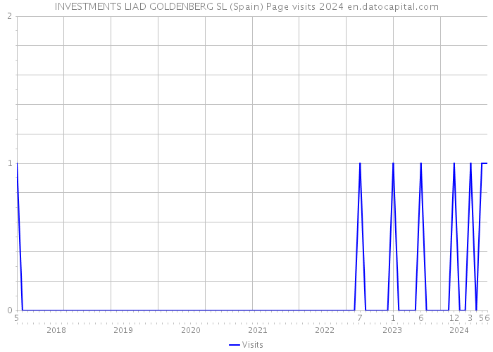 INVESTMENTS LIAD GOLDENBERG SL (Spain) Page visits 2024 