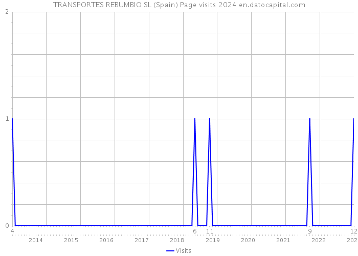 TRANSPORTES REBUMBIO SL (Spain) Page visits 2024 