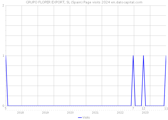 GRUPO FLOPER EXPORT, SL (Spain) Page visits 2024 