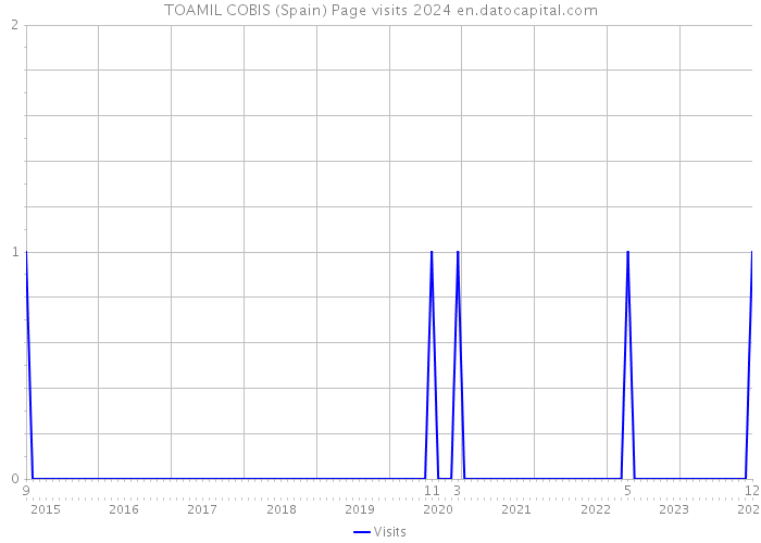 TOAMIL COBIS (Spain) Page visits 2024 
