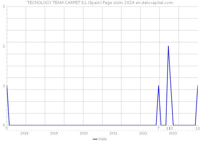 TECNOLOGY TEAM CARPET S.L (Spain) Page visits 2024 