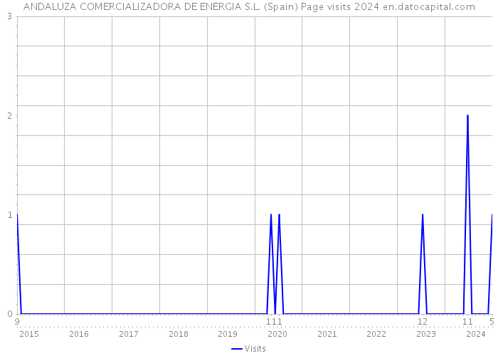 ANDALUZA COMERCIALIZADORA DE ENERGIA S.L. (Spain) Page visits 2024 