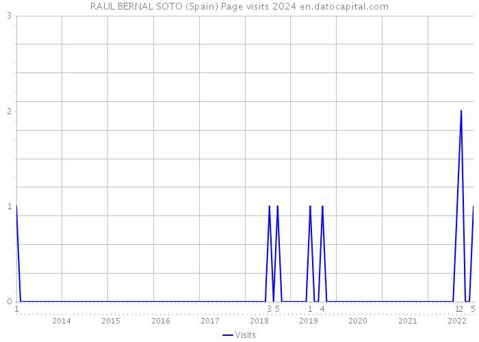 RAUL BERNAL SOTO (Spain) Page visits 2024 