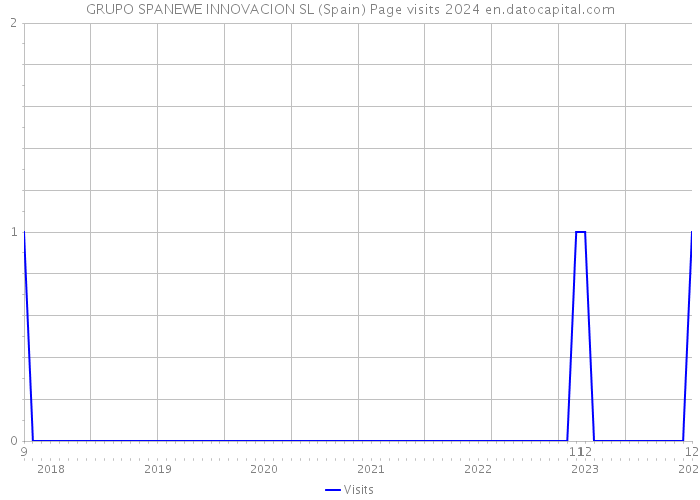 GRUPO SPANEWE INNOVACION SL (Spain) Page visits 2024 