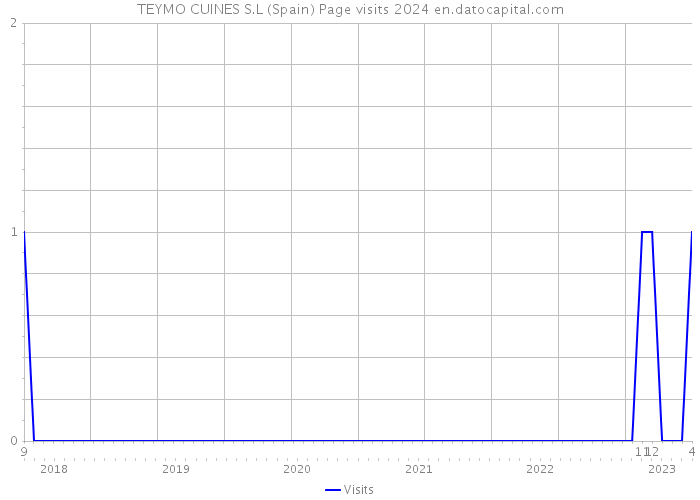 TEYMO CUINES S.L (Spain) Page visits 2024 