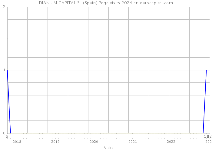 DIANIUM CAPITAL SL (Spain) Page visits 2024 