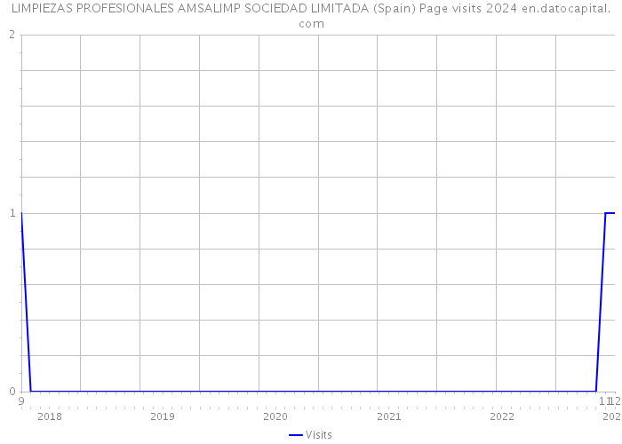 LIMPIEZAS PROFESIONALES AMSALIMP SOCIEDAD LIMITADA (Spain) Page visits 2024 