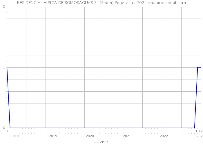 RESIDENCIAL HIPICA DE SOMOSAGUAS SL (Spain) Page visits 2024 