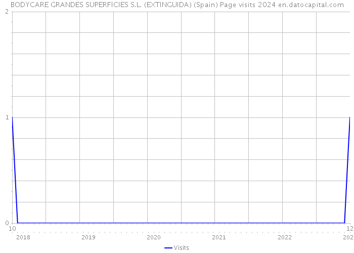 BODYCARE GRANDES SUPERFICIES S.L. (EXTINGUIDA) (Spain) Page visits 2024 