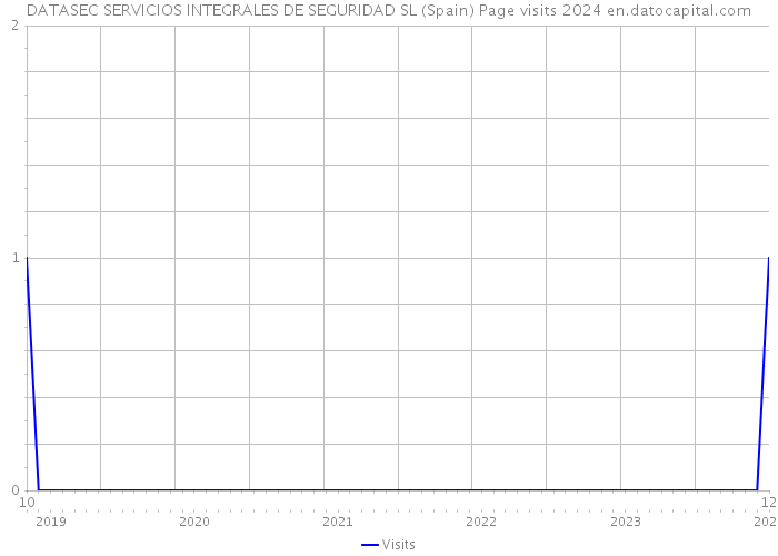 DATASEC SERVICIOS INTEGRALES DE SEGURIDAD SL (Spain) Page visits 2024 