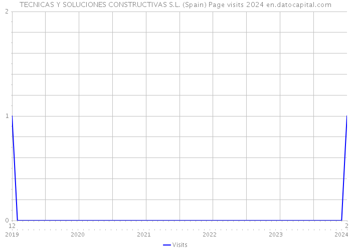 TECNICAS Y SOLUCIONES CONSTRUCTIVAS S.L. (Spain) Page visits 2024 